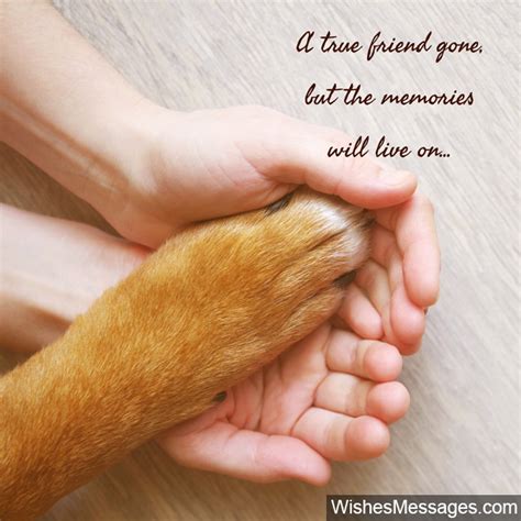 short dog memorial quotes|cat sympathy quotes.